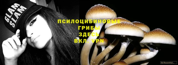 первитин Пестово