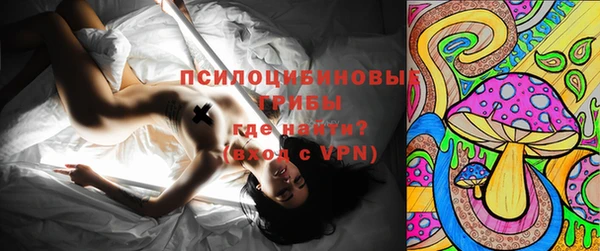 первитин Пестово