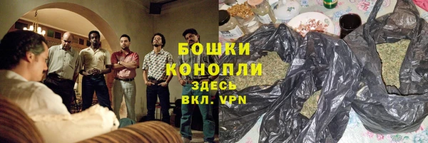 молекула духа Переславль-Залесский