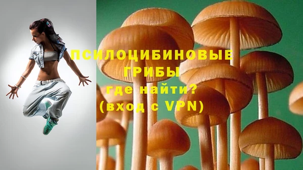 первитин Пестово