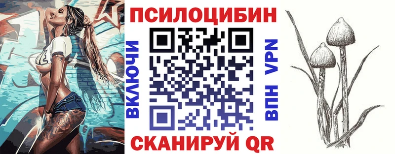 дарнет шоп  Белый  гидра зеркало  Псилоцибиновые грибы Cubensis 